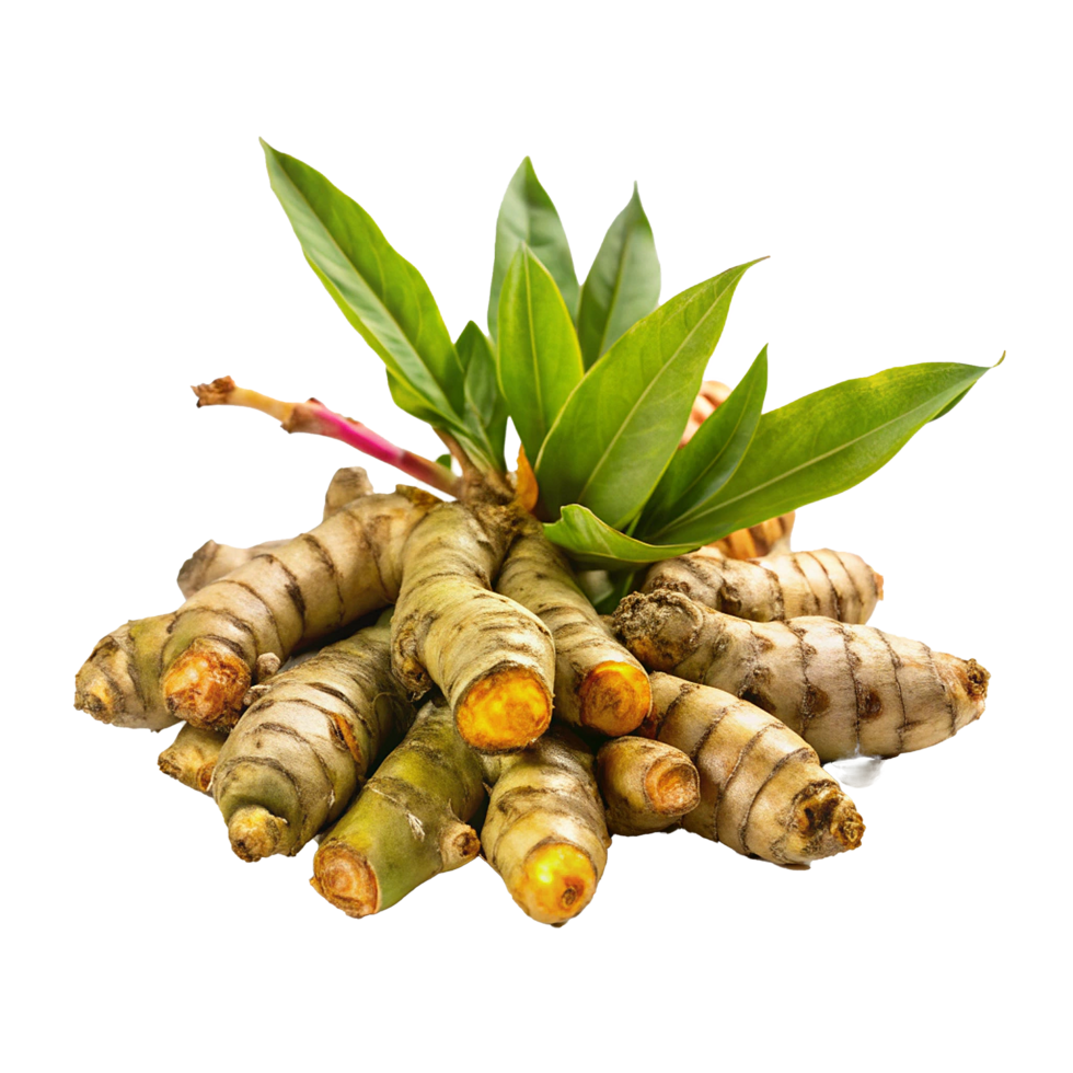 Fresh Turmeric Roots with Lush Green Leaves, a Vibrant and Aromatic Spice png
