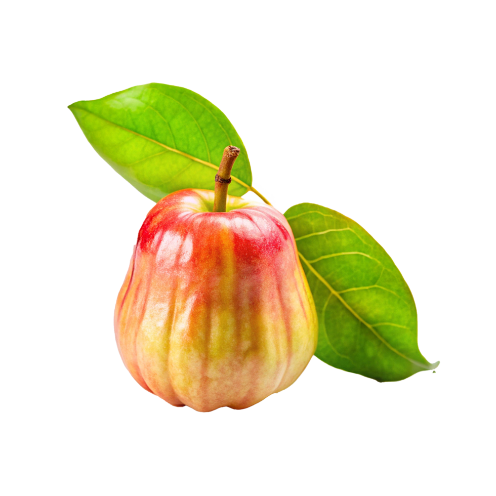 A single ripe red and yellow bell apple with green leaves png