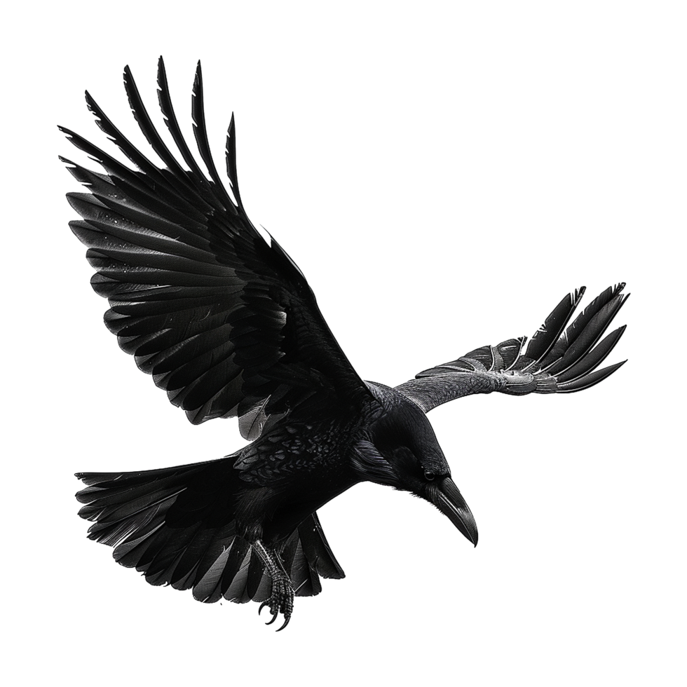 Majestic Black Crow in Flight Against a Gray Linear Background Artistic Rendering png
