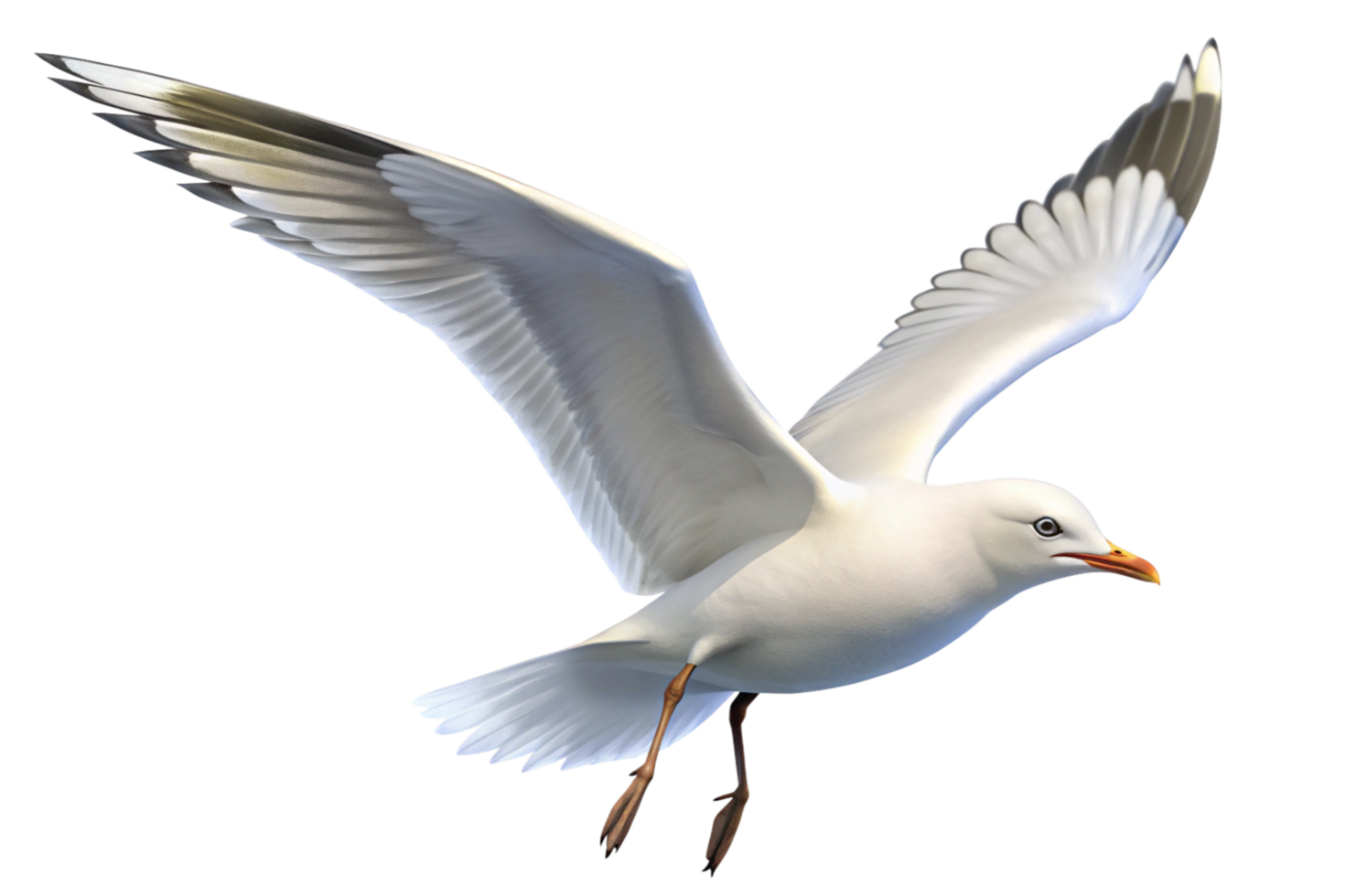 A Stunning Image of a White Seagull in Flight Against a Black Background png