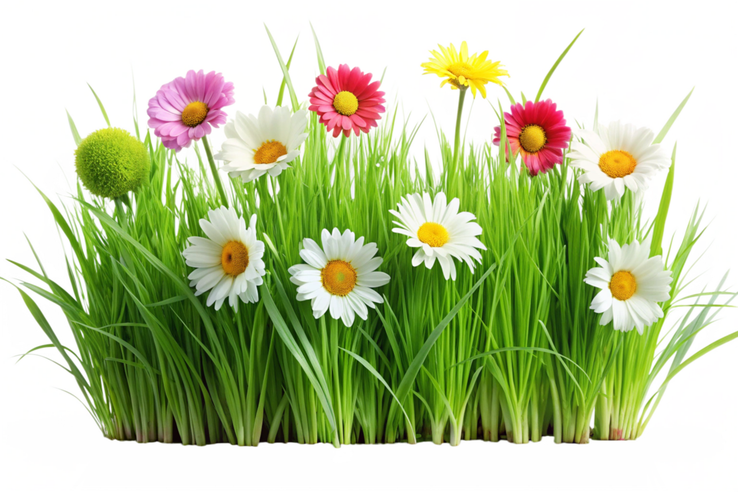 Spring Flowers Blooming in Lush Green Grass png