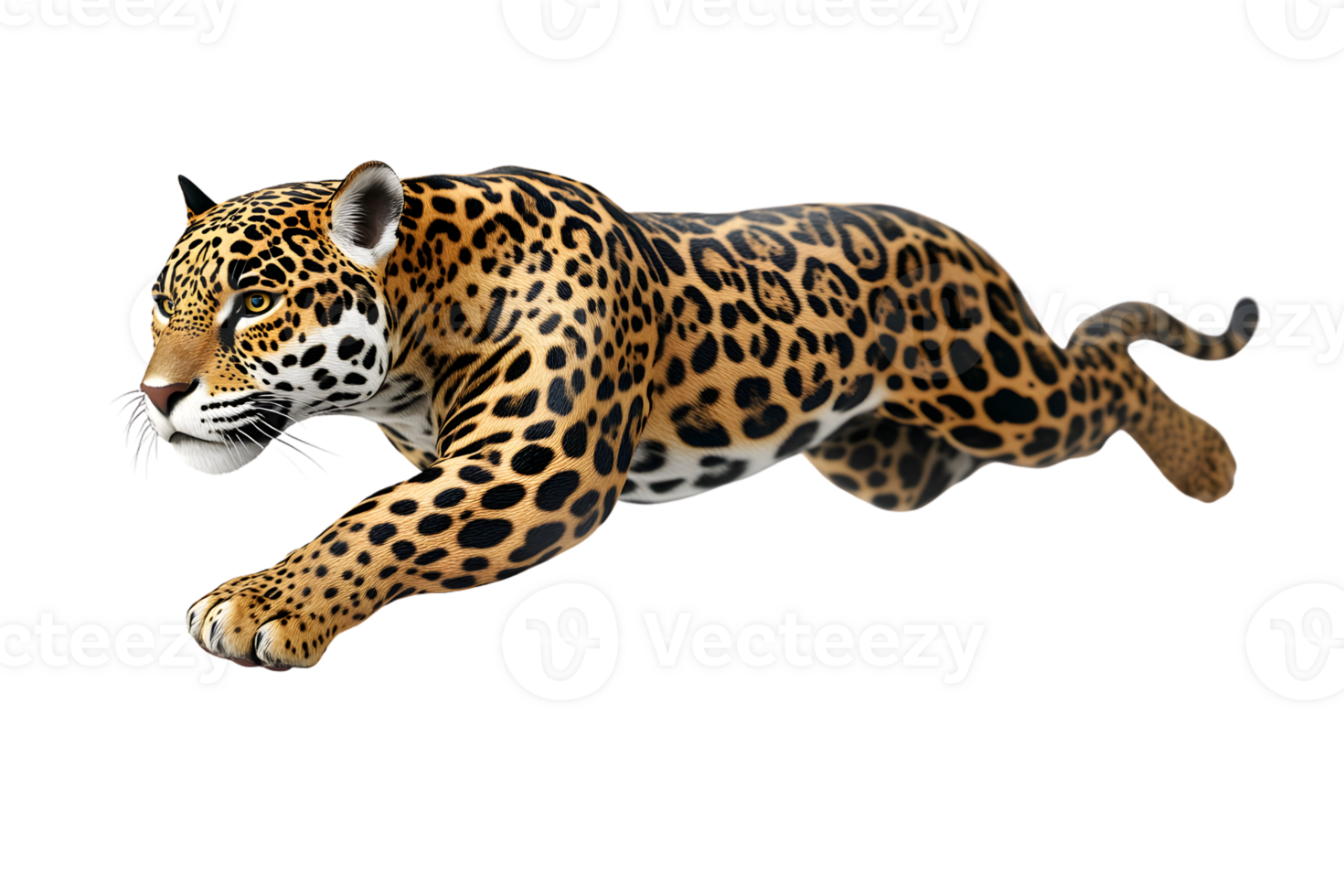Dynamic Leap of a Spotted Cat in Motion png