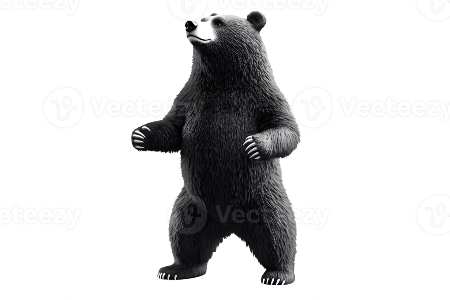 Standing Bear in Monochrome A Detailed and Expressive Wildlife Illustration png
