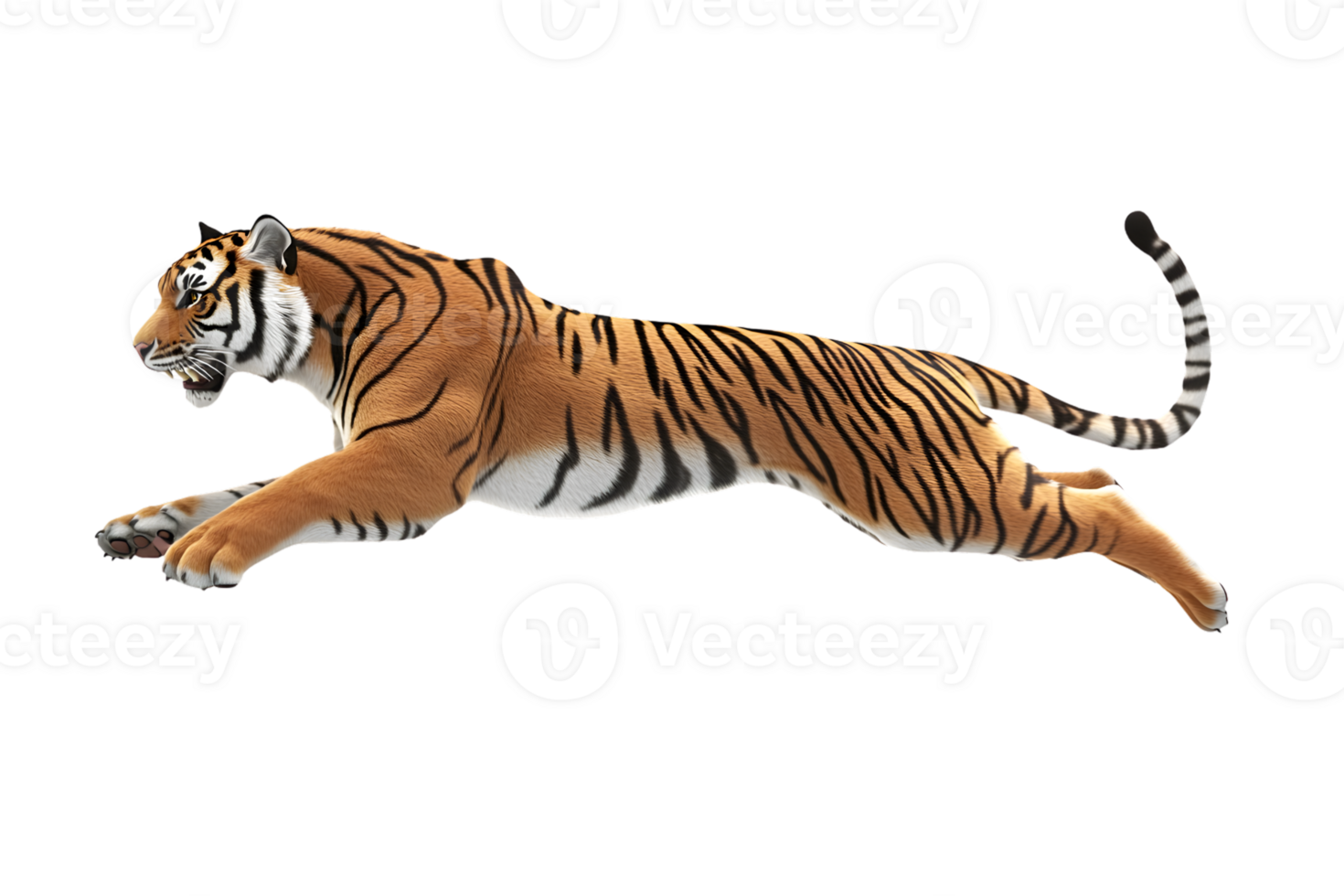 A majestic big cat in midstride showcasing its powerful build and striking stripes for wildli png