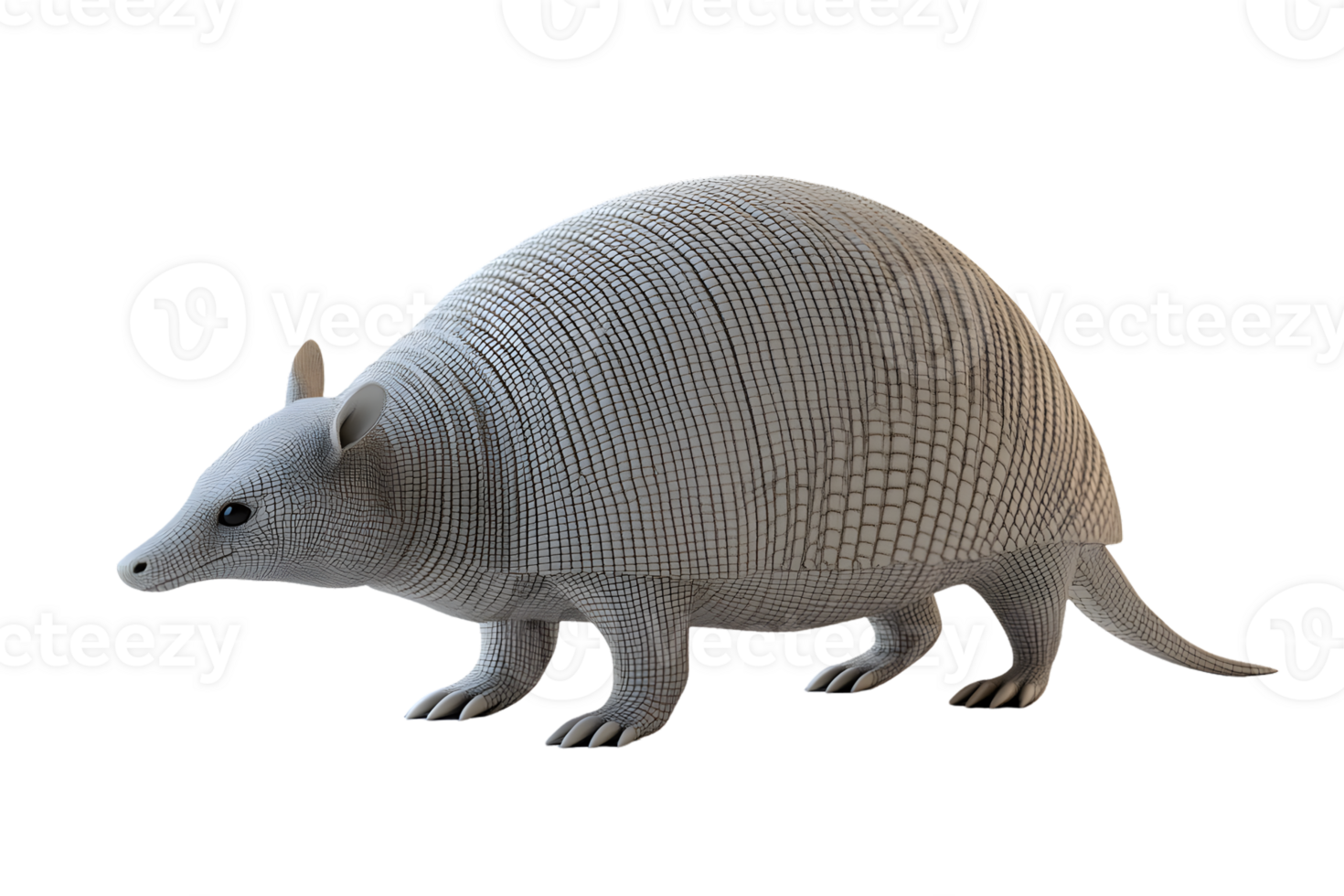 Ninebanded Armadillo 3D Model Wildlife Animal Nature Illustration Zoology Exotic Creatu png