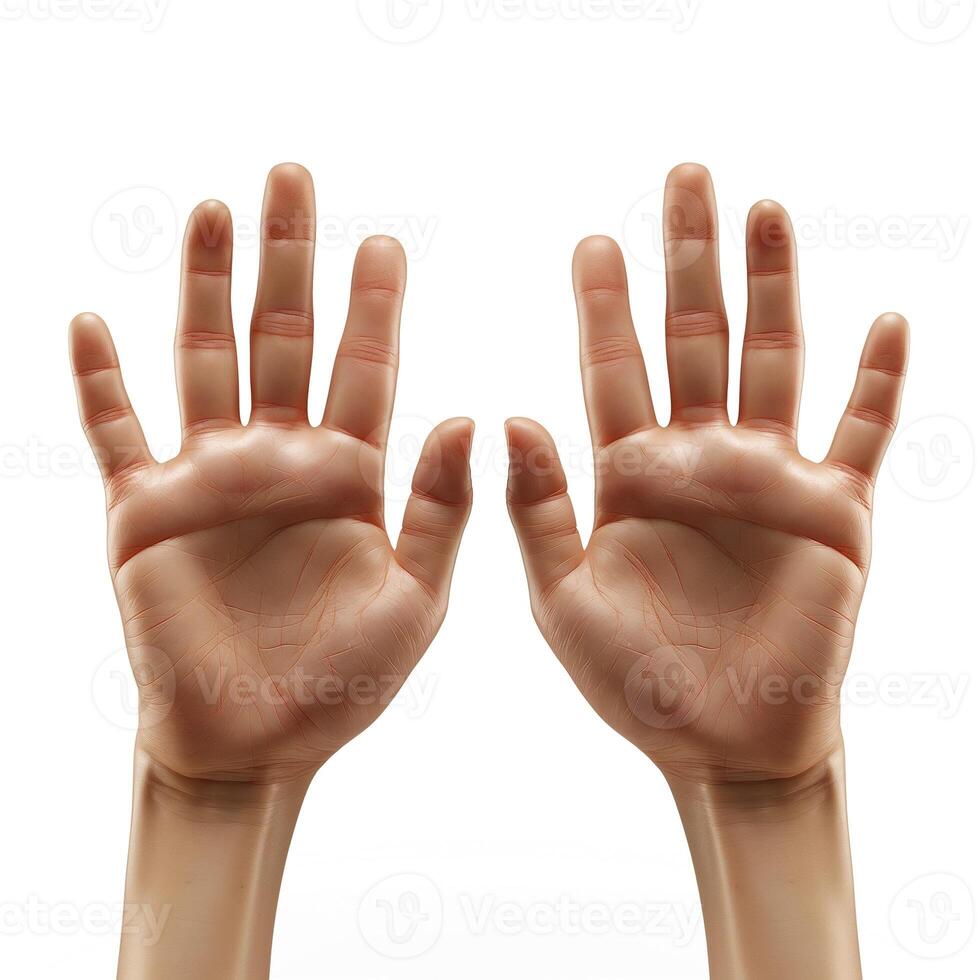 A pair of detailed, open hands displaying a lifelike appearance against a clean white background. photo