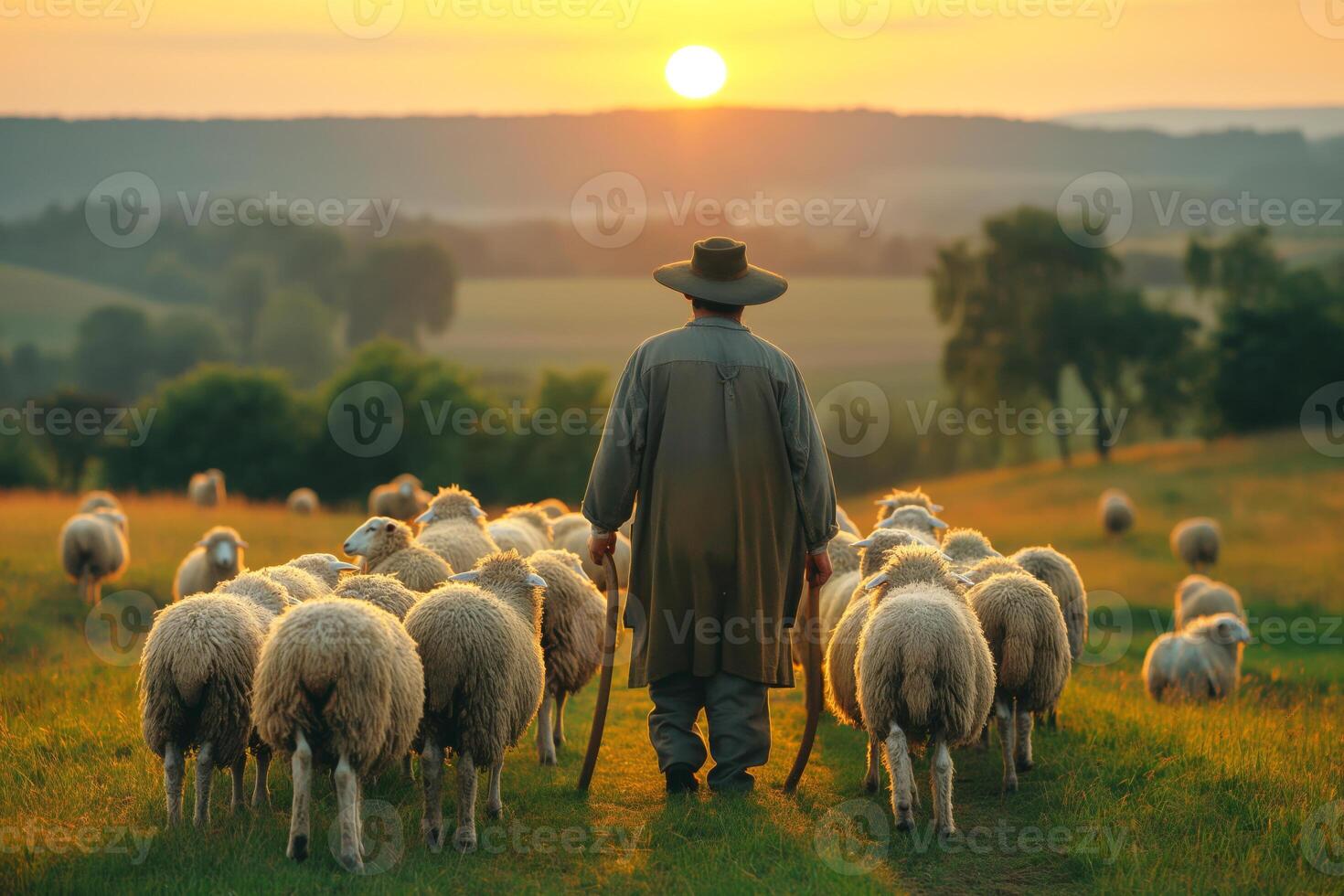 A shepherd guiding his flock of sheep at sunset, creating a tranquil and picturesque rural scene. photo