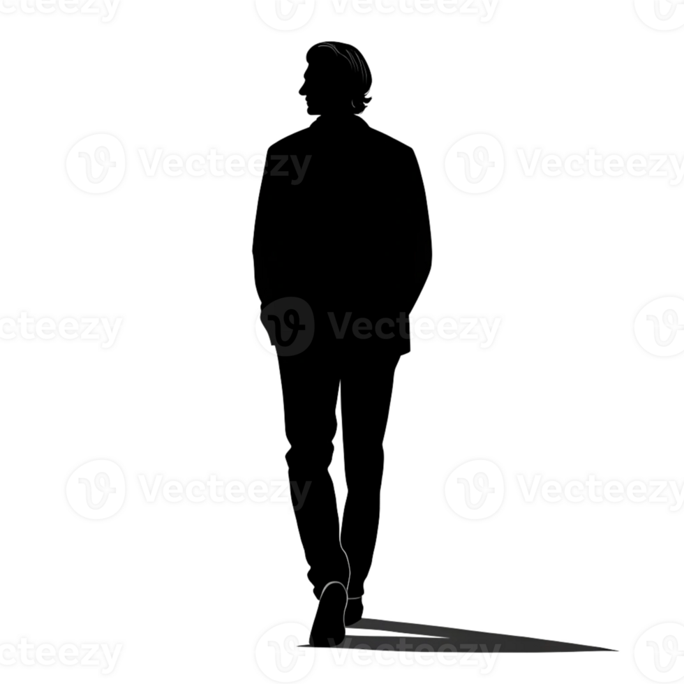 The Enigma of the Dark Figure A Visitor from the Unknown png