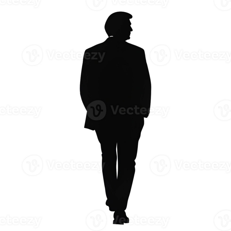 The Soundless Silhouette A Song of Mystery png