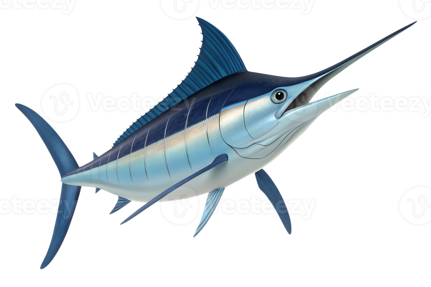A 3D animated A unique overhead perspective of a marlin swimming straight toward the viewer, showcasing the streamlined shape of its dorsal fin, isolated on a transparent background png