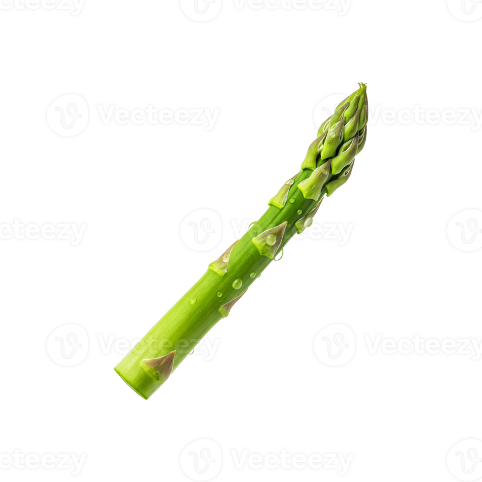 Fresh and appetizing green asparagus with dew drops on transparent background. Perfect for advertising healthy eating, organic food and wellness products. For balanced diet and natural lifestyle. png