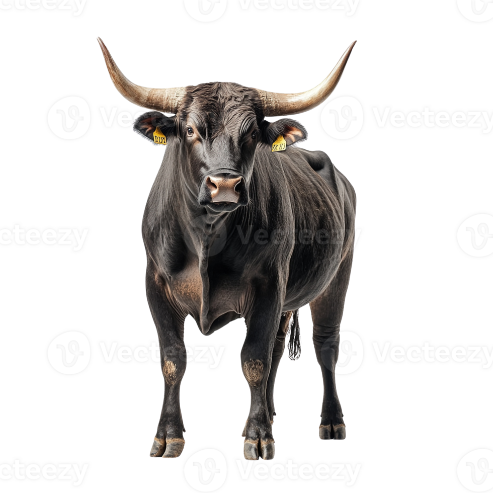 Majestic Black Bull with Large Horns png