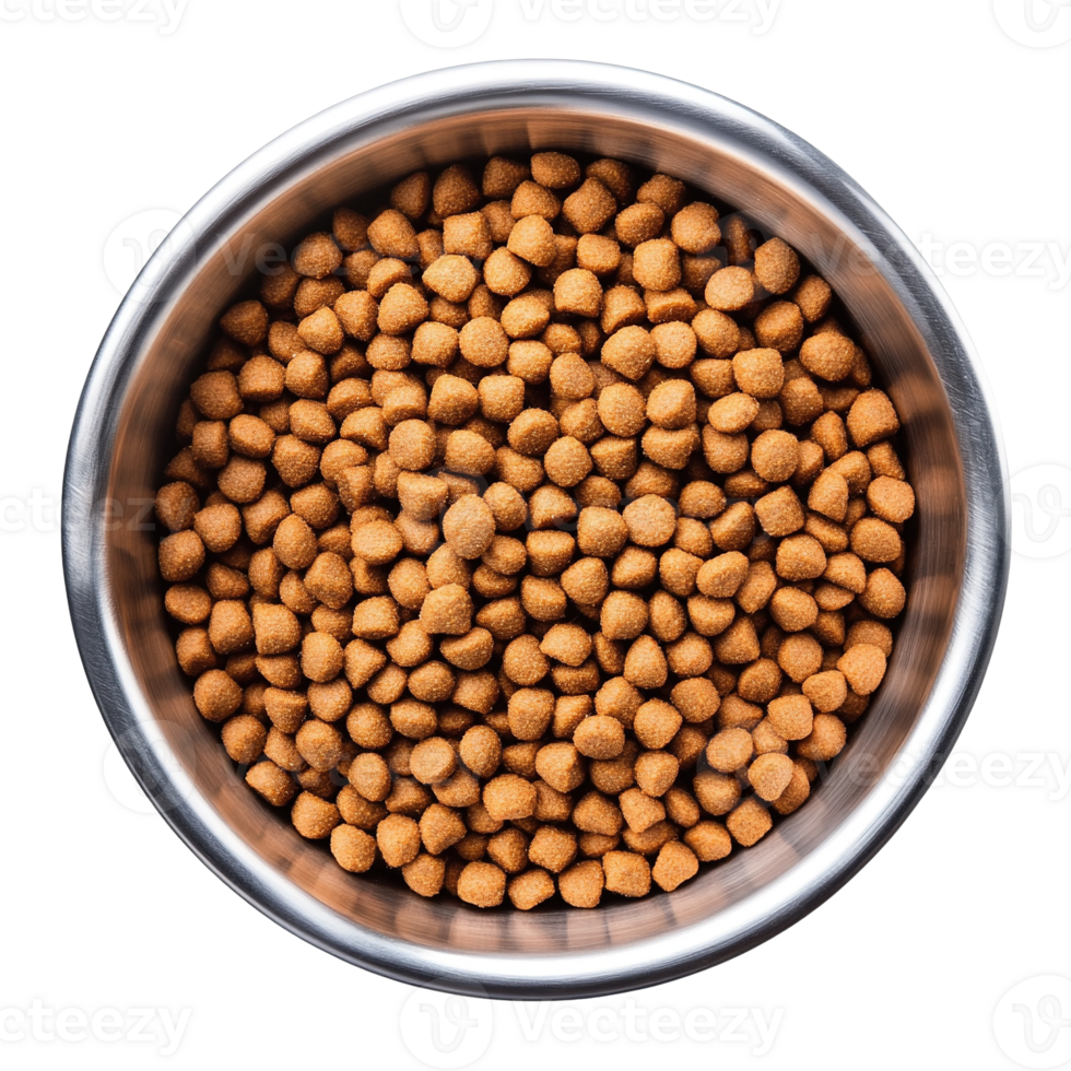 Stainless Steel Bowl with Dry Pet Food Kibble png