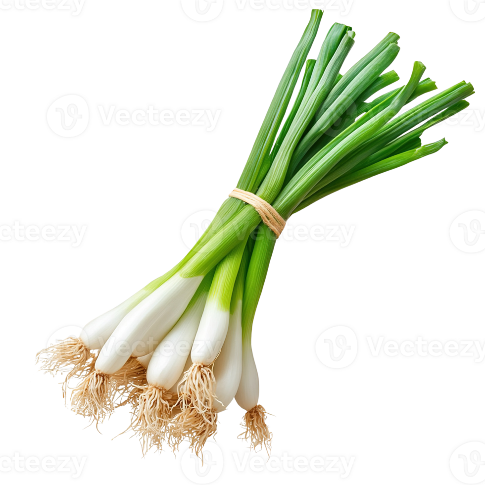 Fresh Bunch of Green Onions png