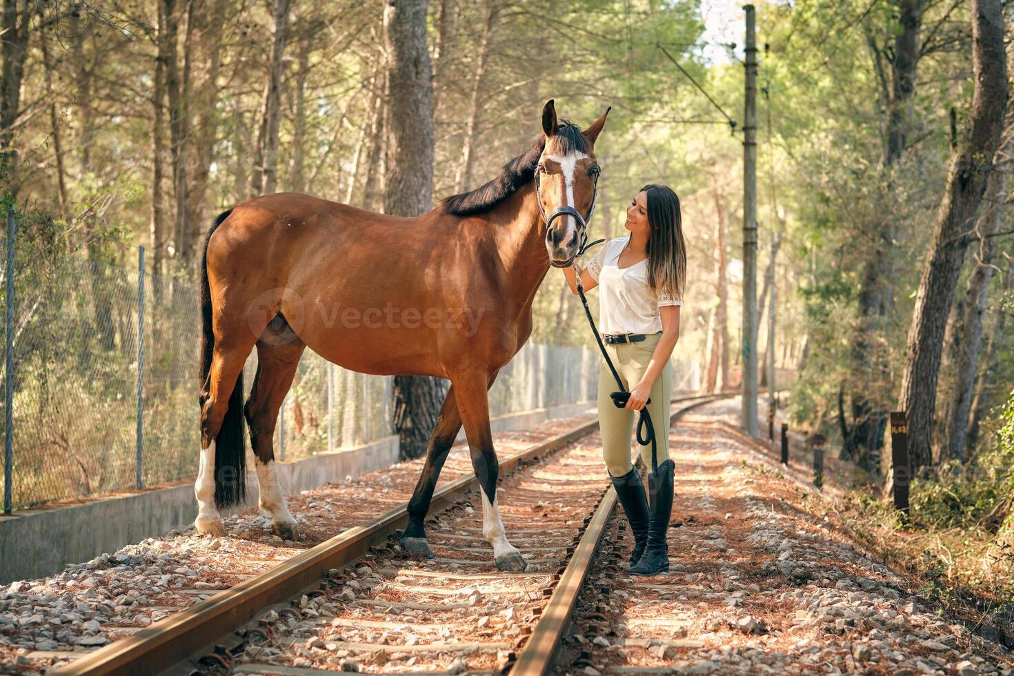 Content woman with horse in woods photo