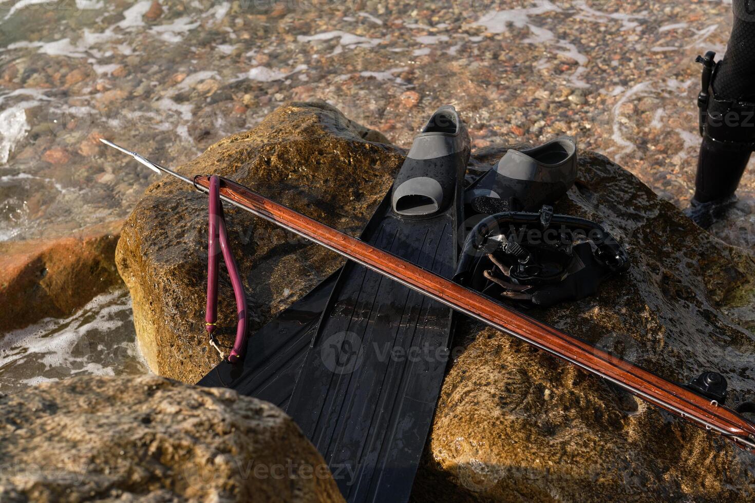 From above of harpoon and flippers on rock near sea photo