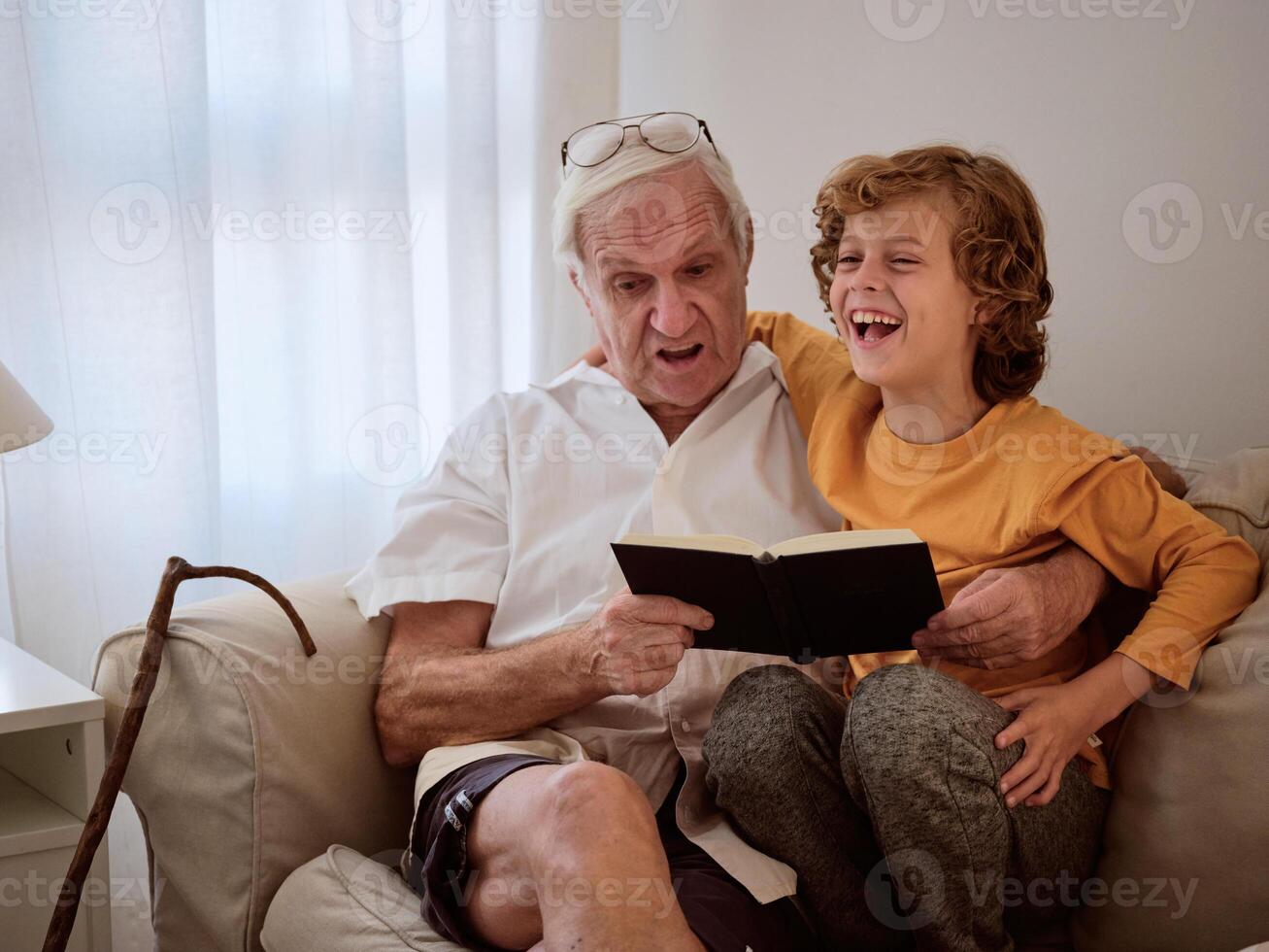 Cheerful boy and grandfather with book on couch photo