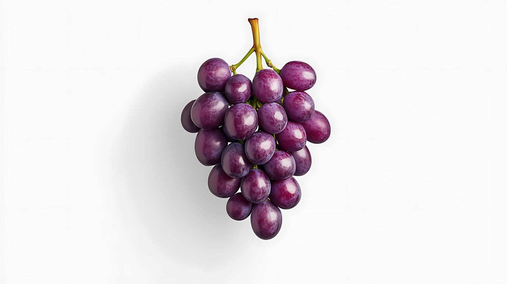 Purple grapes on a white background photo