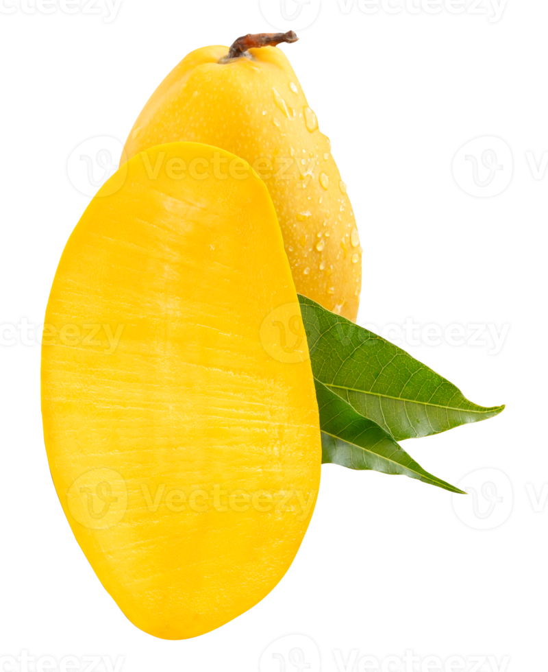 Single ripe yellow mango and half with green leaves and water droplets in stack isolated with clipping path in file format png