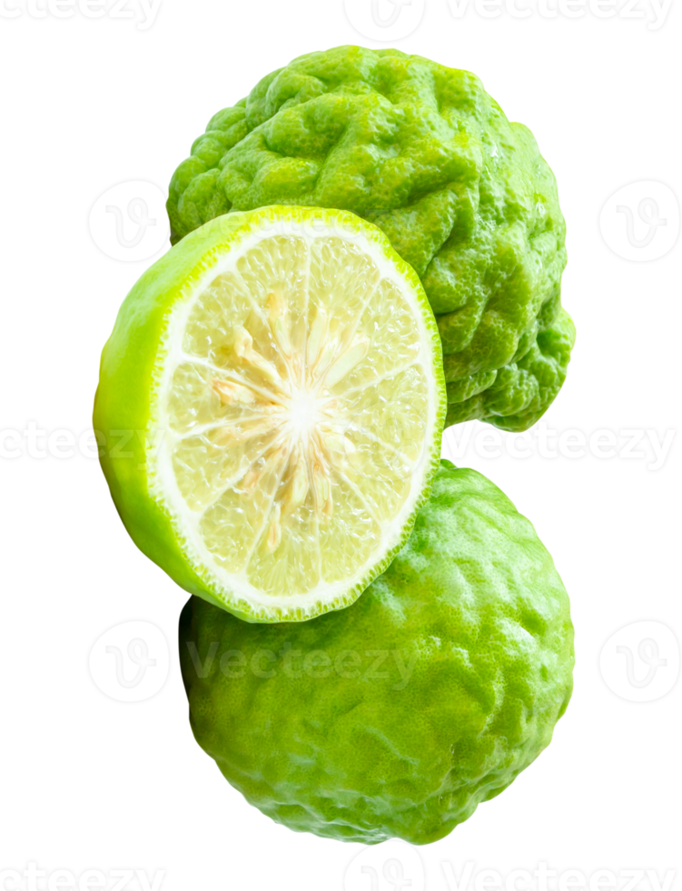 Side view of fresh green bergamot fruits or kaffir lime with half in stack isolated with clipping path in file format png