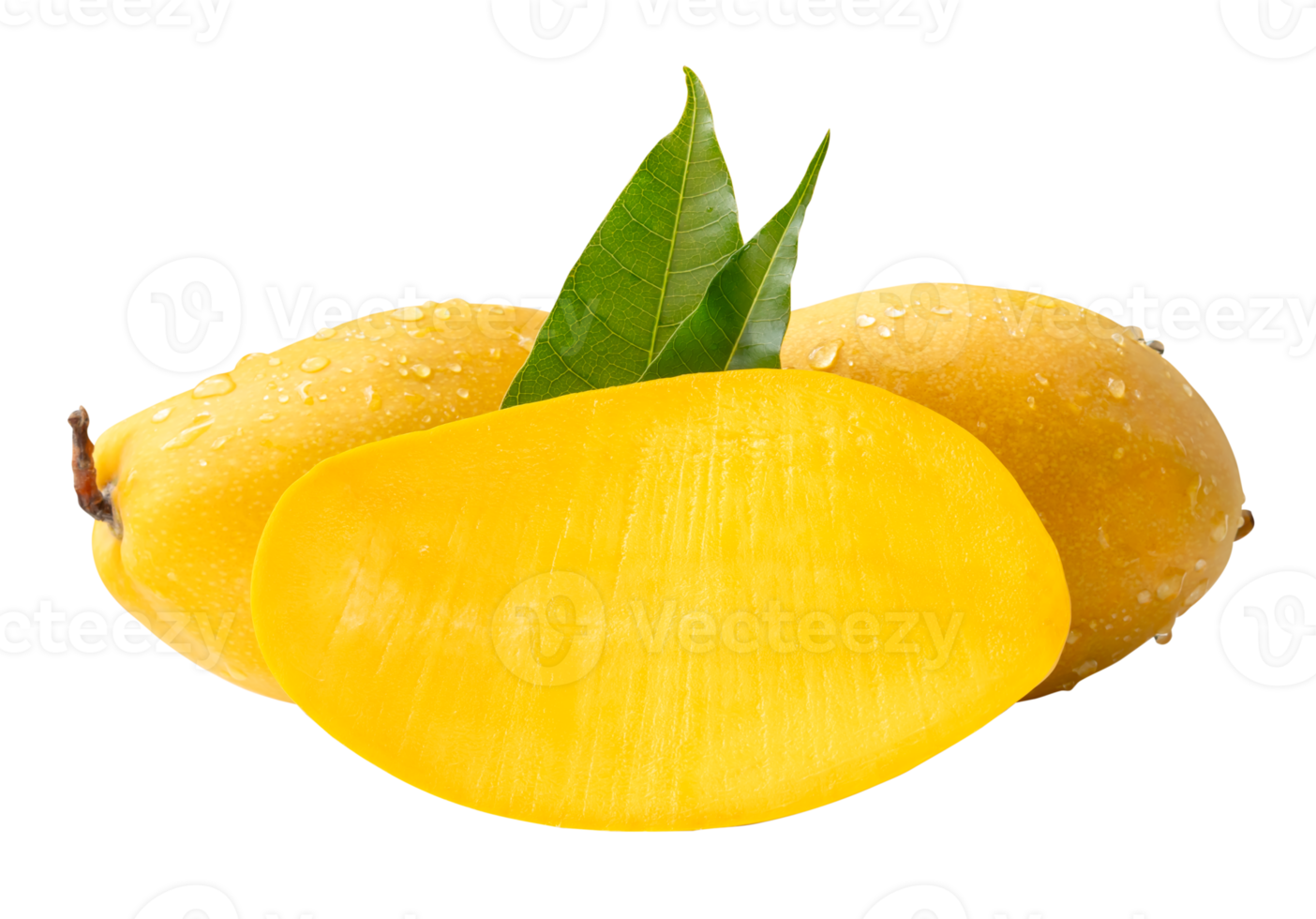 Two ripe yellow mangoes and half with green leaves and water droplets in stack isolated with clipping path in file format png