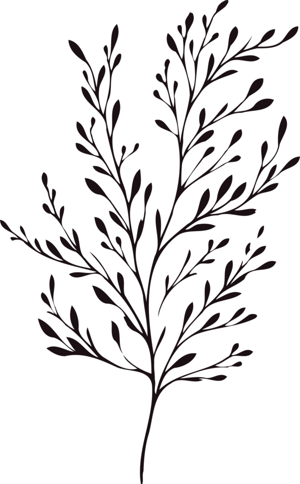 Elongated Hand Drawn Vintage Sketch Drawing, green leaves Line Art, Plants tree branch, Collection branches Floral elements, set of Botanical Illustration Outline leaf, Black And White leaves pack png