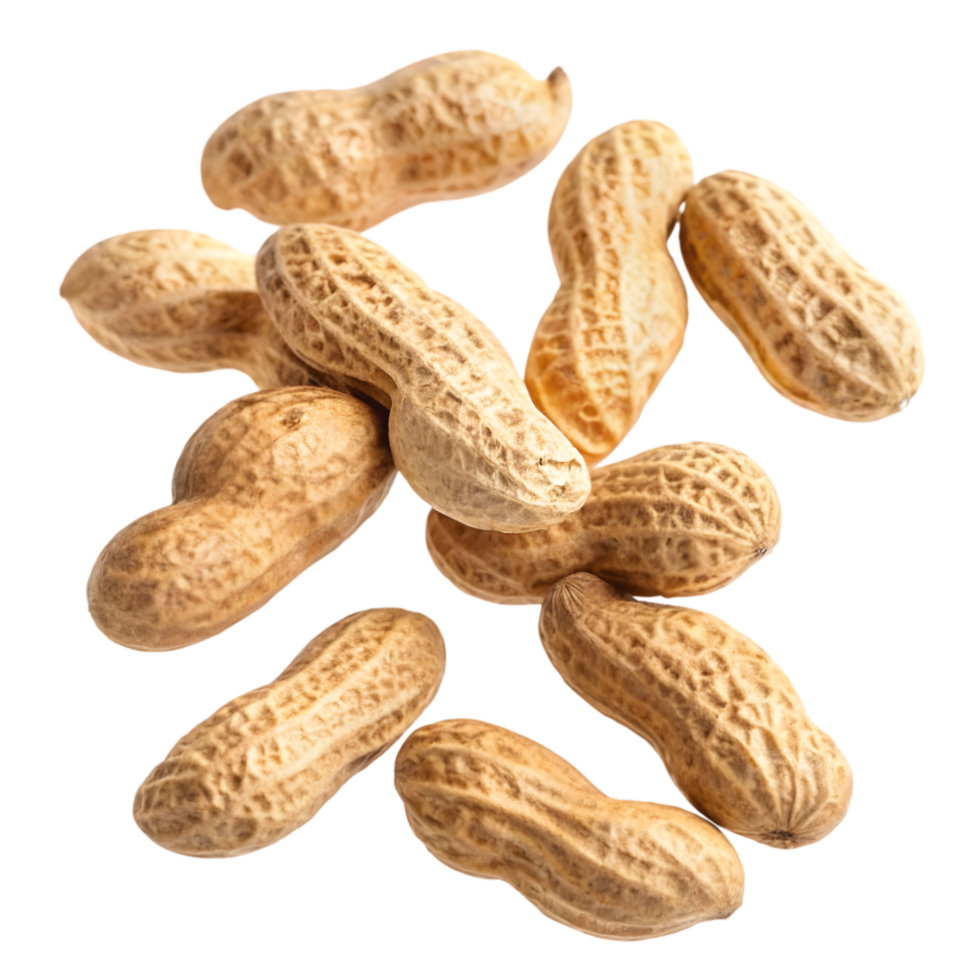 Delicious Raw Peanuts in Shell for Healthy Snacking and Cooking. Perfect for Nut Butters, Trail Mix, and Recipes. Enjoy a Nutrient-Rich Snack That Adds Flavor and Crunch to Your Meals png