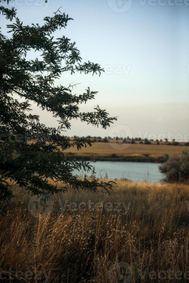 Stunning sunset over a serene grassy field in the foreground and a lake in the distance. Peaceful beauty of nature. Textured grass. Perfect for a scenic and tranquil landscape photography. Vertical photo