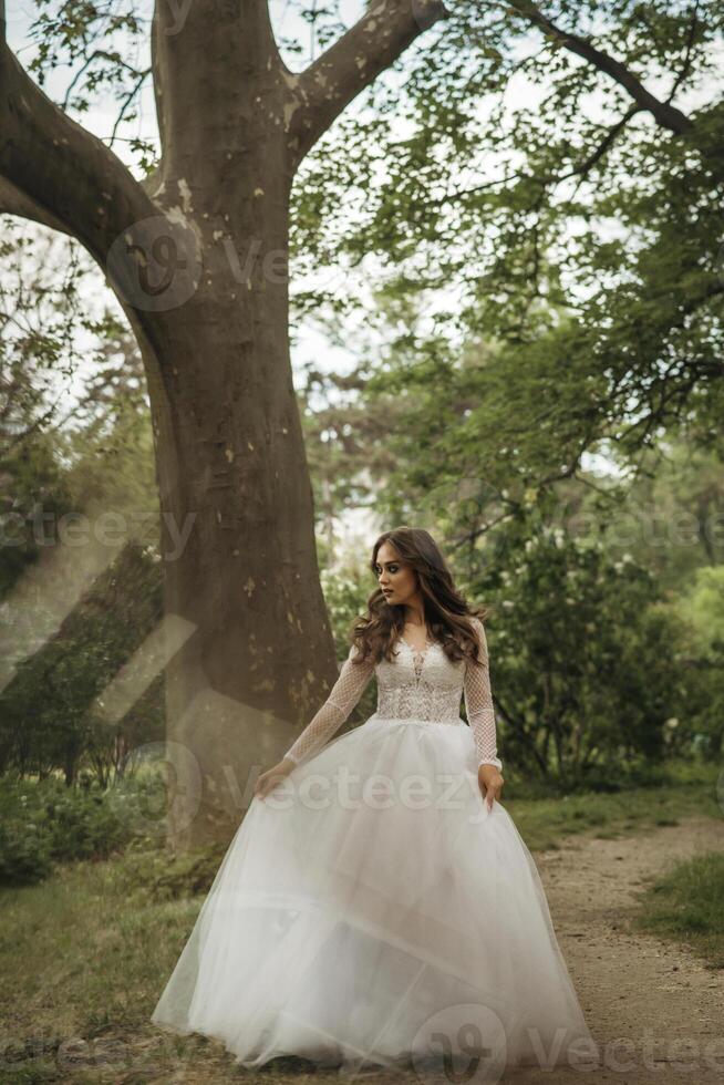 young girl bride in a white dress in a spring forest on a wedding day. beautiful brunette in a long stylish plan among huge trees. glare in the photo around the girl