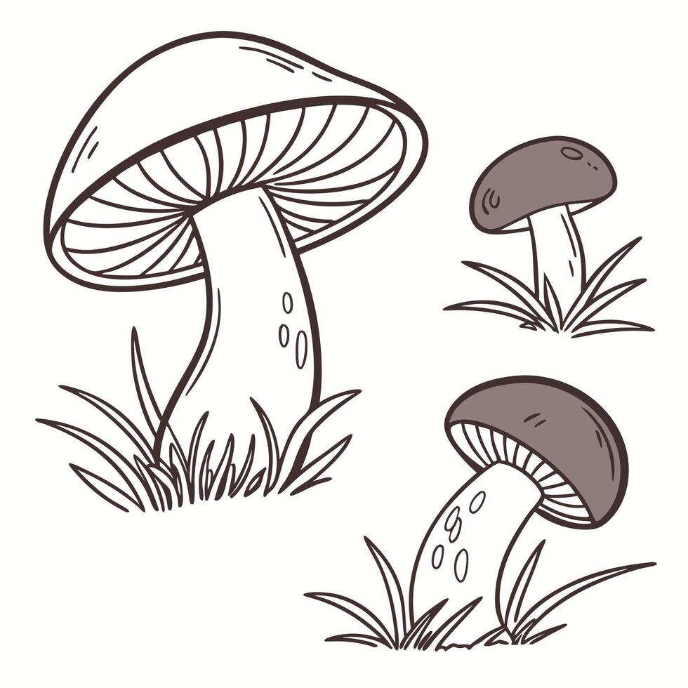 Hand Drawn Mushrooms Illustration Line Art, Autumn, Nature, Whimsical. vector