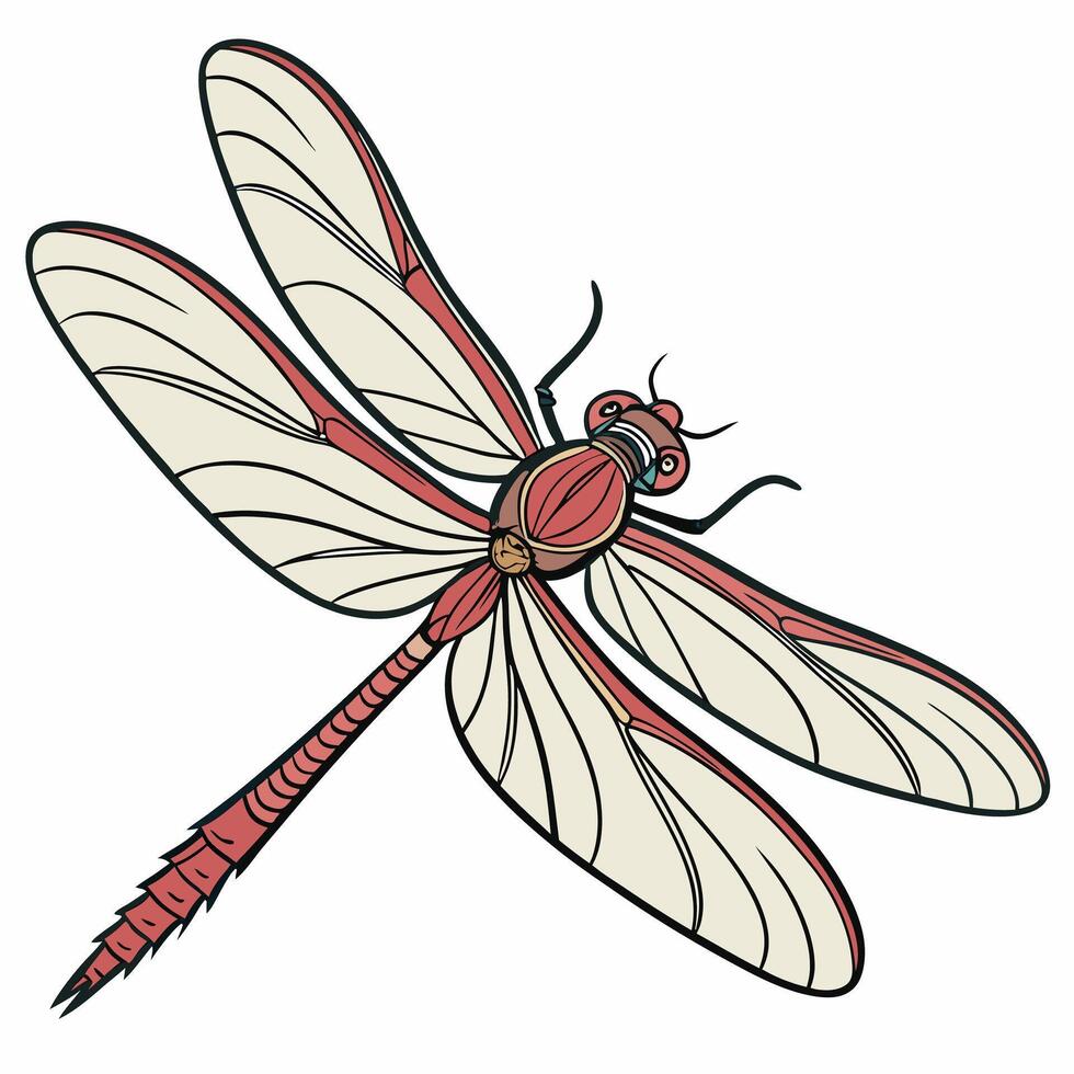 Red Dragonfly Illustration Detailed Wings, Intricate Design. vector