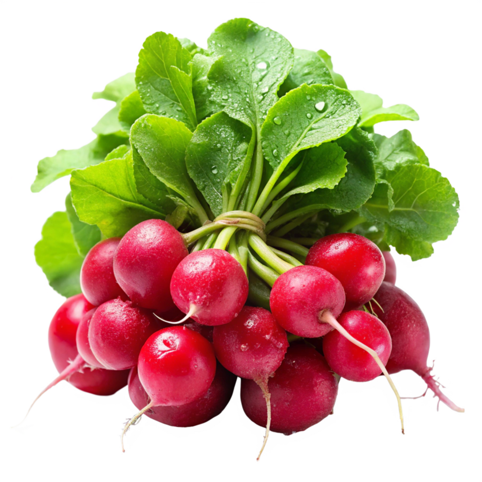 Fresh Radishes With Natural Green Leaves In Transparent Background png