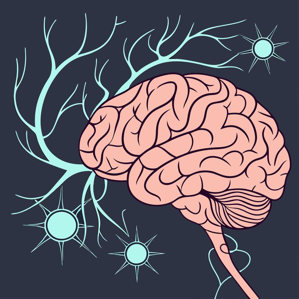 Human Brain, Neural Pathways, Pink and Teal Line Art Illustration Neuroscience, Psychology. vector