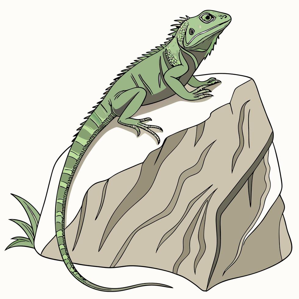 Green Iguana on Rock Detailed Reptile Illustration, Vibrant Colors. vector