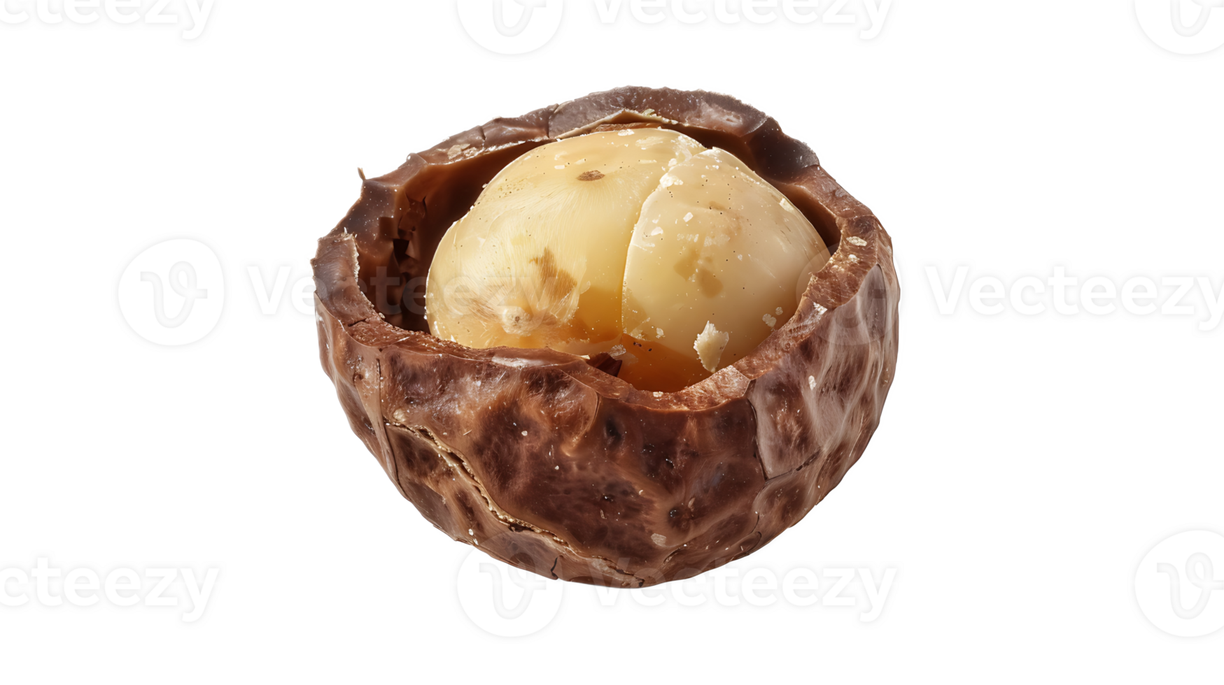 A walnut shell with a nut inside png