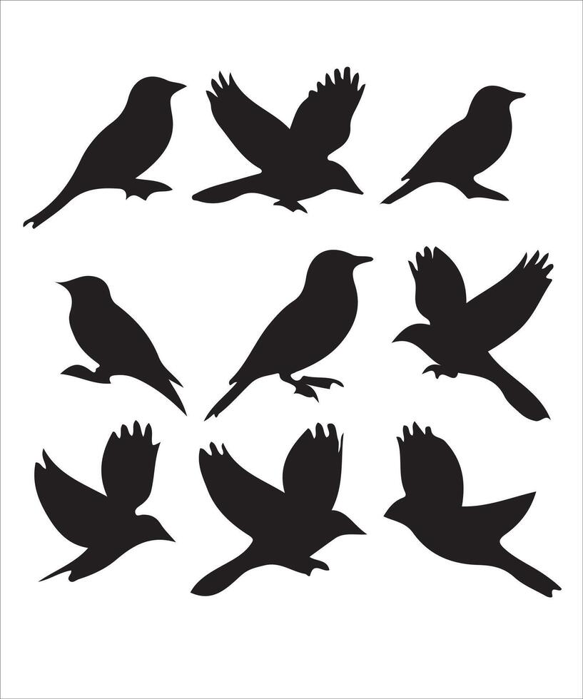 Birds silhouette set vector