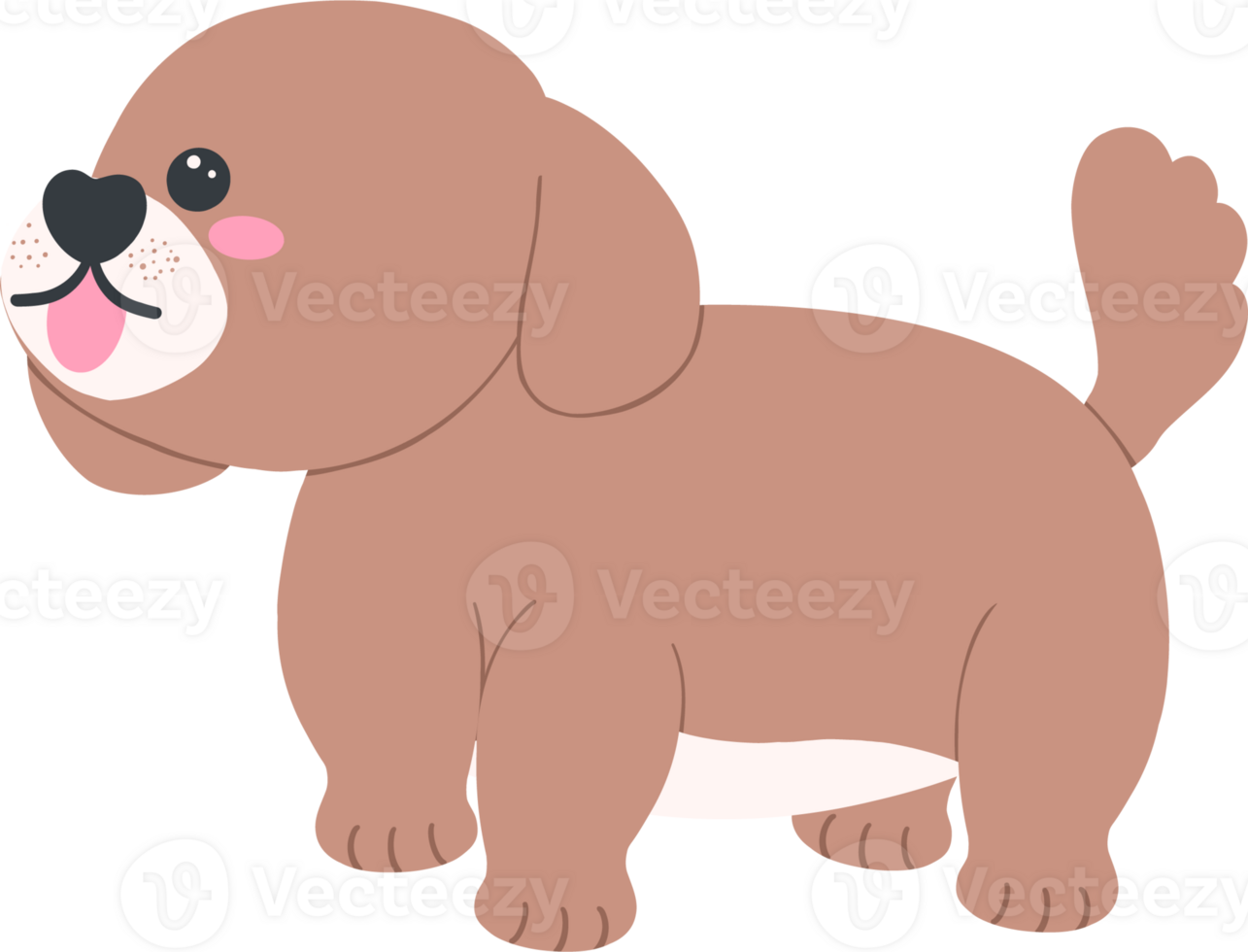 Shih Tzu Dog Cartoon Set in Cute Flat Design with Different Poses and Expressions png