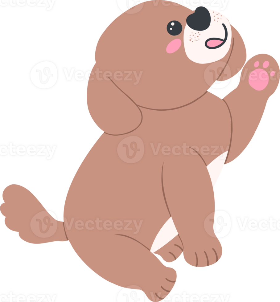 Shih Tzu Dog sitting and waving Cartoon Set in Cute Flat Design with Different Poses and Expressions png