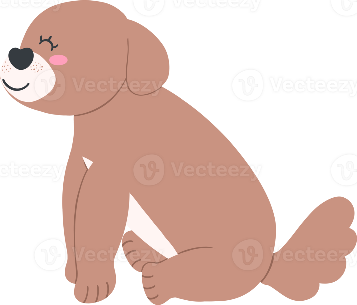 Shih Tzu Dog smiling Cartoon Set in Cute Flat Design with Different Poses and Expressions png