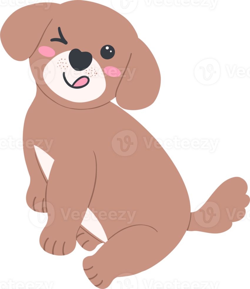 Shih Tzu sticking out his tongue Cartoon Set in Cute Flat Design with Different Pose and Expressions png