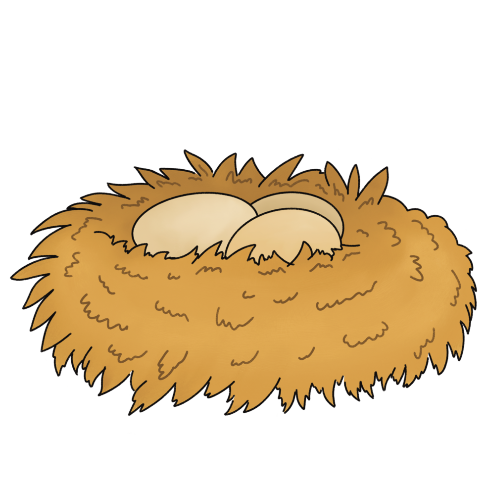 Nest hay egg png