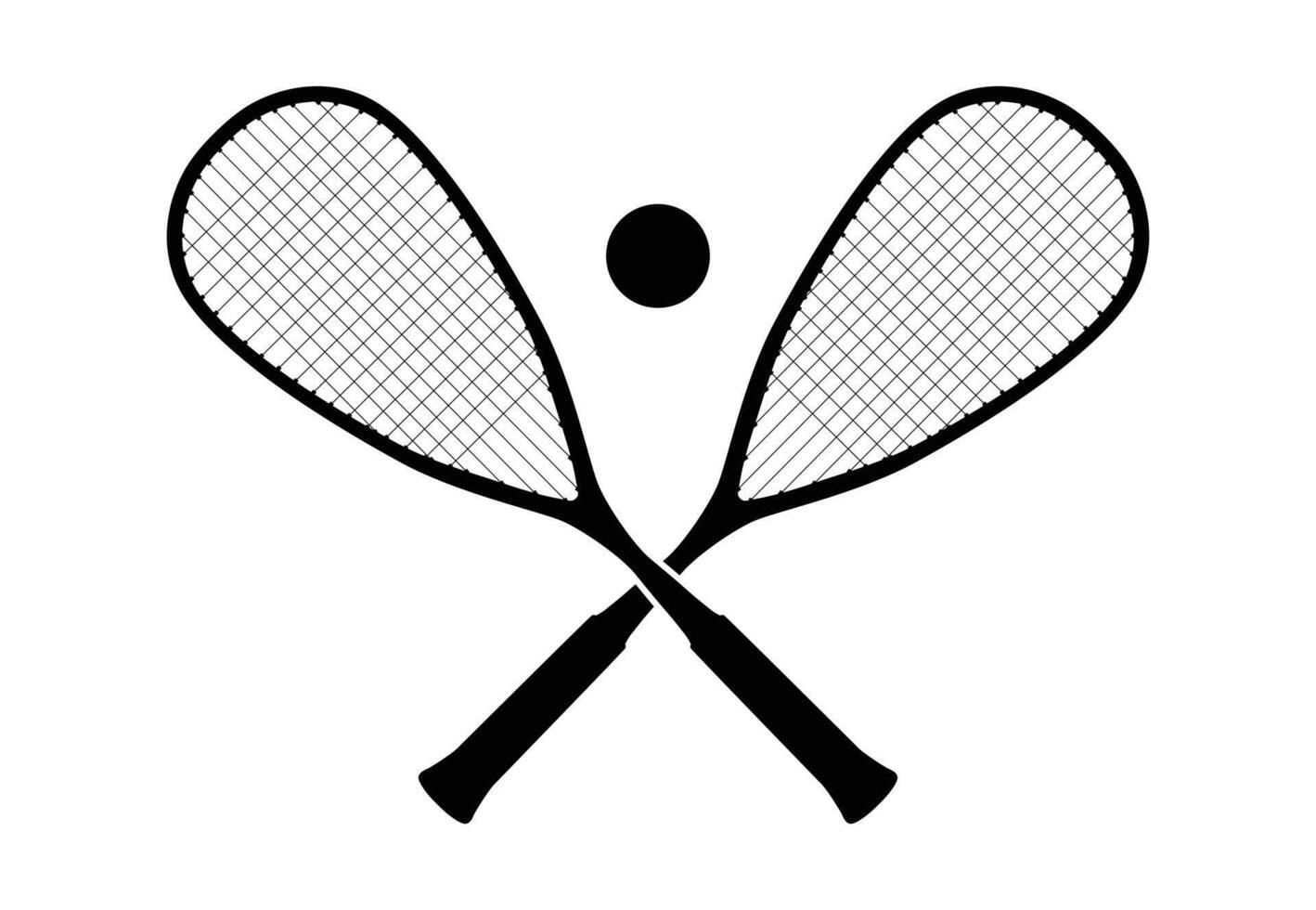 Squash rackets and ball vector