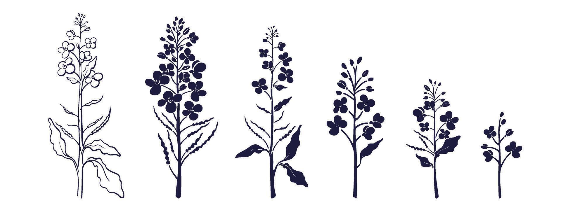 Canola, mustard set. Product of biofuel, food oil vector