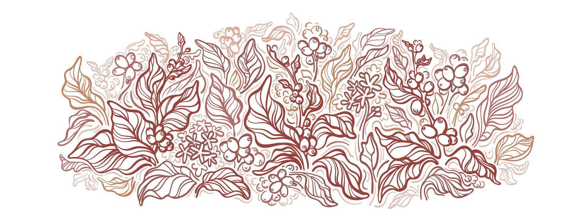 Coffee plantation Field with texture branch, berry vector
