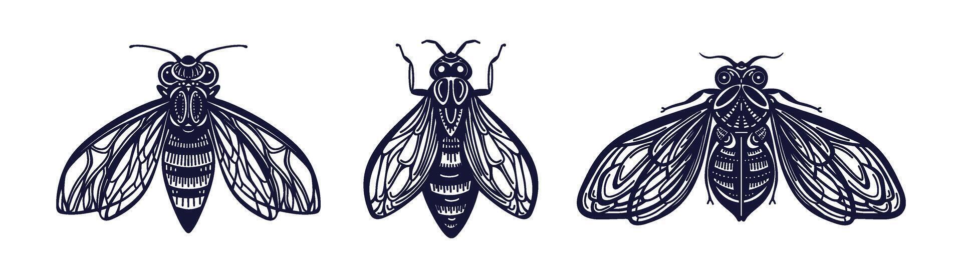 Honey bee. Insect sketch. Vintage hand drawing set vector