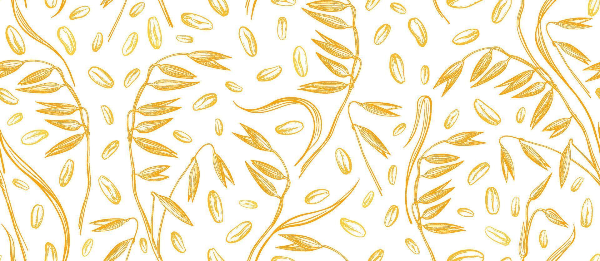 Grain of oats field. Golden wheat, spelt backdrop vector