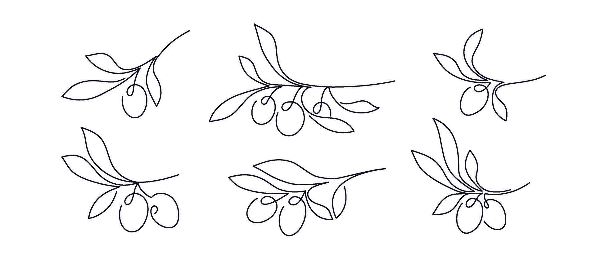 Olive in continuous line. hand drawn branch vector