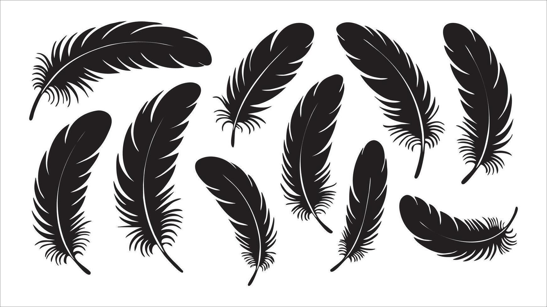 Black Feather Silhouettes Nature, Design, Art, Collection, Graphics vector