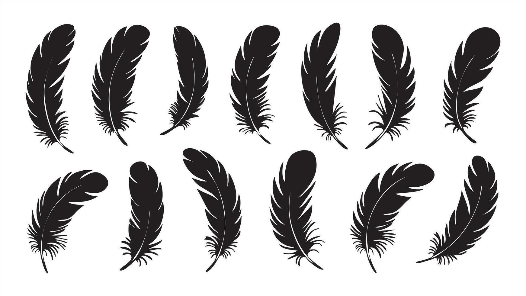 Black Feather Silhouettes Collection of Bird Feather Designs vector