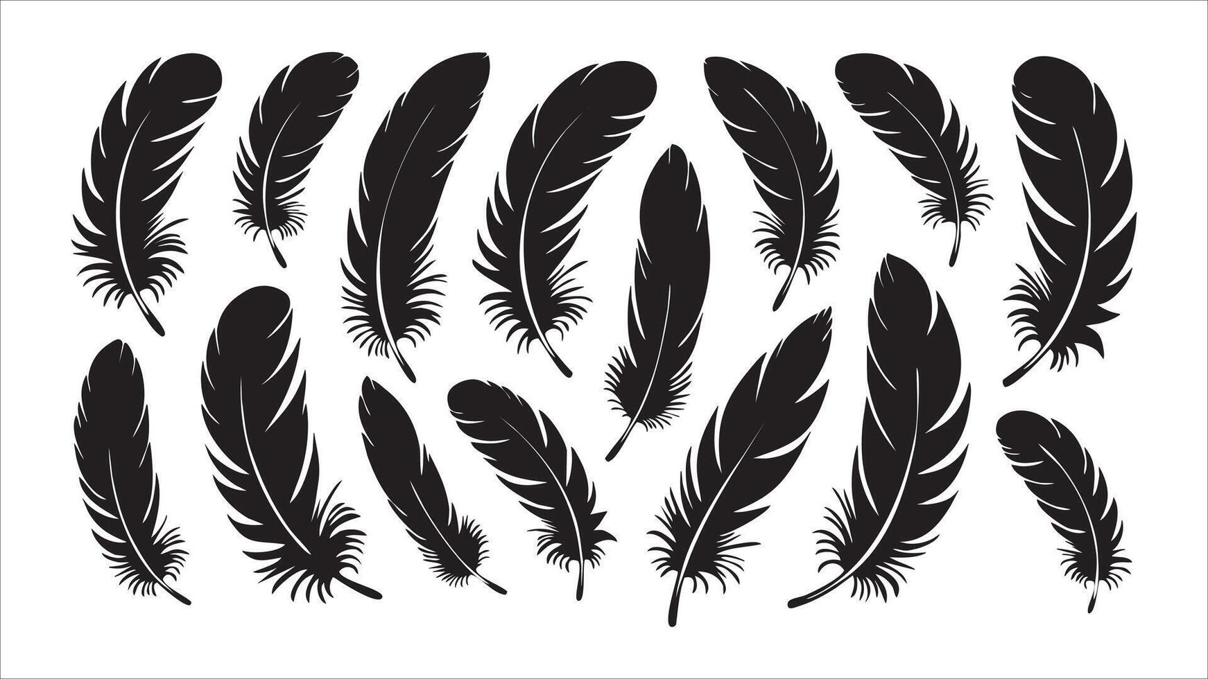 Collection of Black Silhouettes of Bird Feathers, Nature Design Elements vector